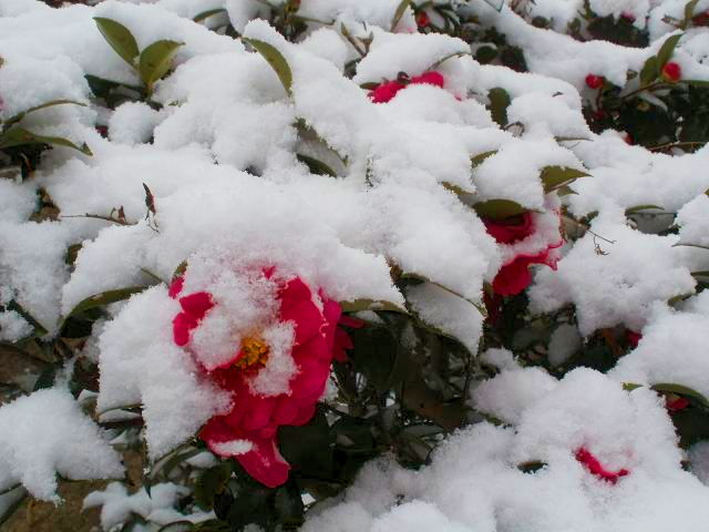 d0021649_10412730.jpg