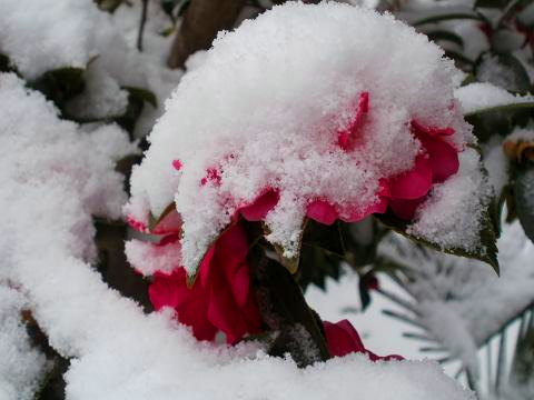 d0021649_10415260.jpg