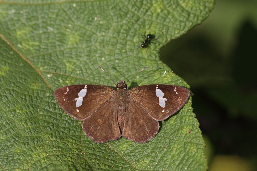a0094850_21154595.jpg