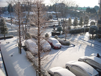 a0088456_9461337.jpg