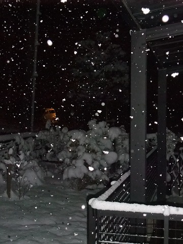 a0132056_2344437.jpg
