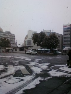 e0005658_1740980.jpg
