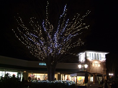 e0176158_045364.jpg