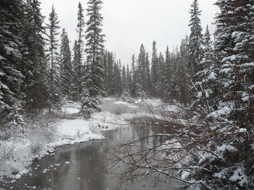 f0214562_5125558.jpg