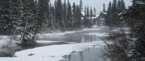 f0214562_516974.jpg