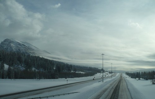 f0214562_5452876.jpg