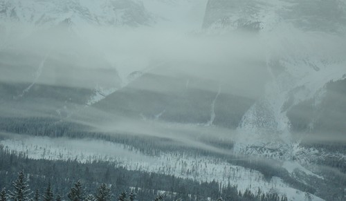f0214562_549148.jpg