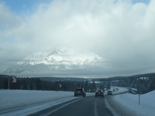 f0214562_5503021.jpg