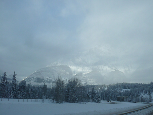 f0214562_5545869.jpg