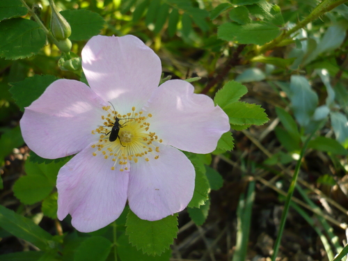 f0214562_573010.jpg