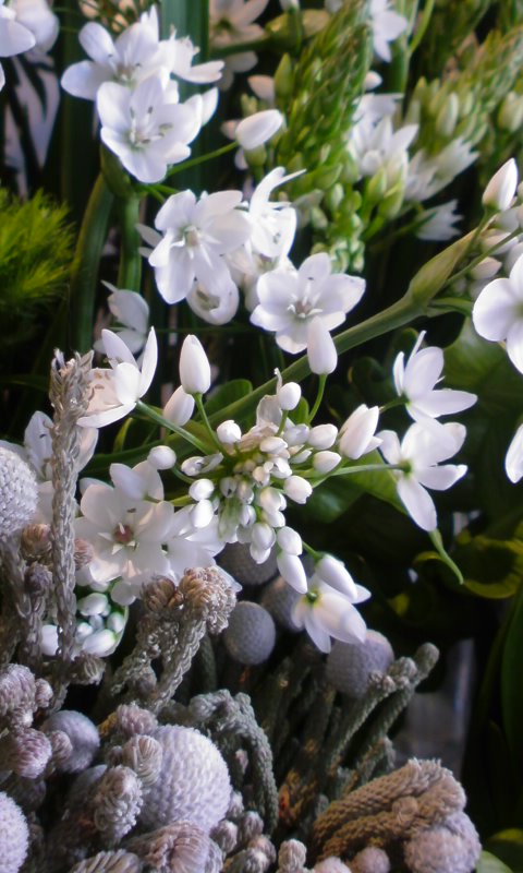 f0220768_1123611.jpg