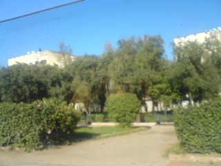 f0207969_10145446.jpg
