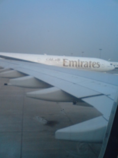 f0207969_10145490.jpg