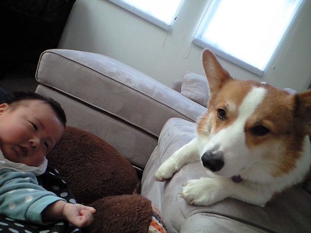 c0210375_033216.jpg