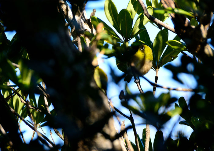 f0108478_2143890.jpg