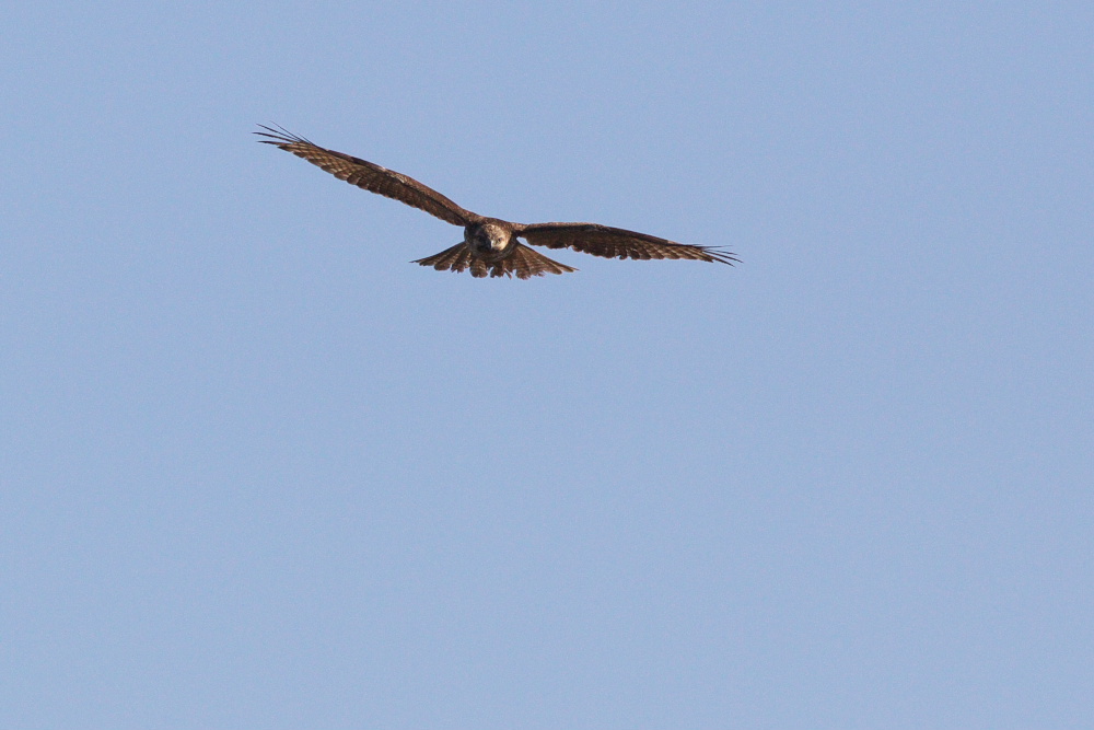a0083081_1652686.jpg