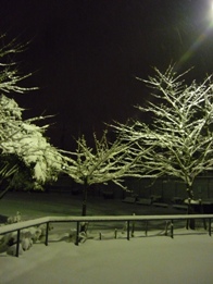 a0152785_23151288.jpg