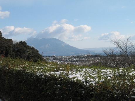 e0130185_11324095.jpg