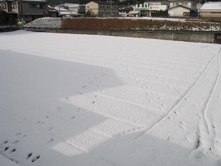 e0130185_11332447.jpg