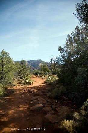 e0148185_14391044.jpg