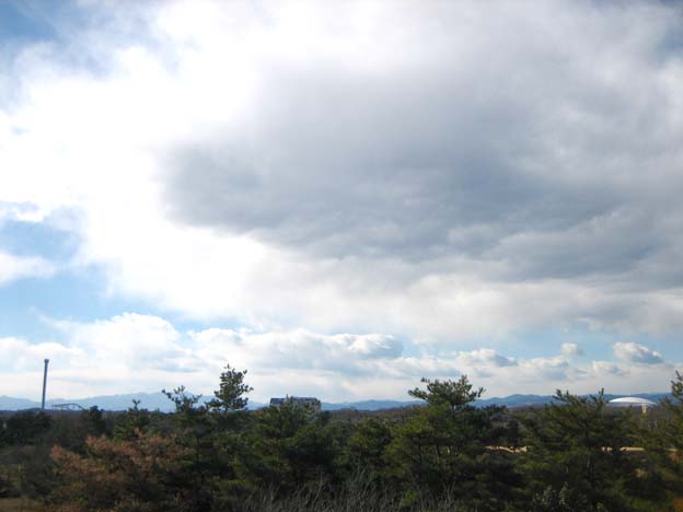 c0004193_1965828.jpg