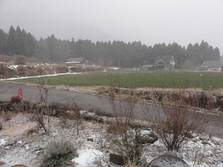 f0209394_0170100.jpg