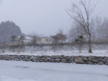 f0209394_072866.jpg