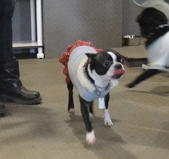 c0094999_0542287.jpg