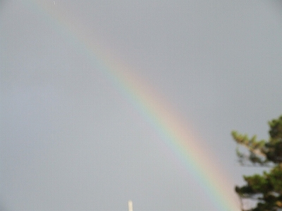 c0187403_1644966.jpg