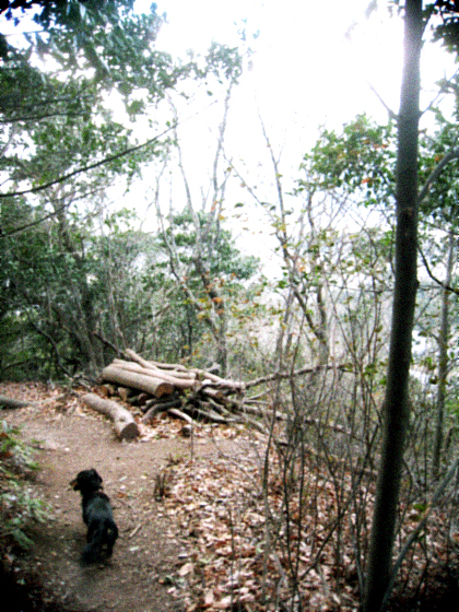d0077603_10472449.jpg