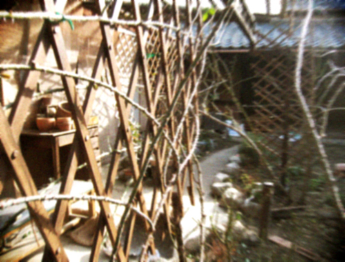 d0077603_10484559.jpg
