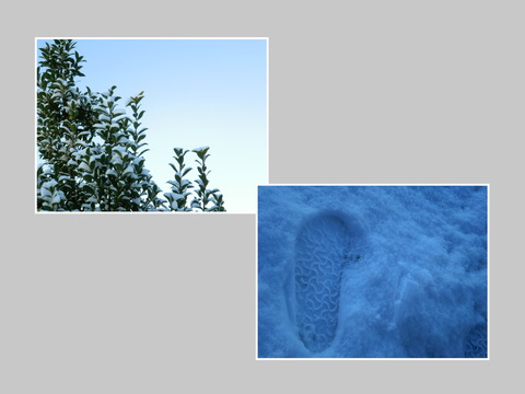 a0143504_9291095.jpg