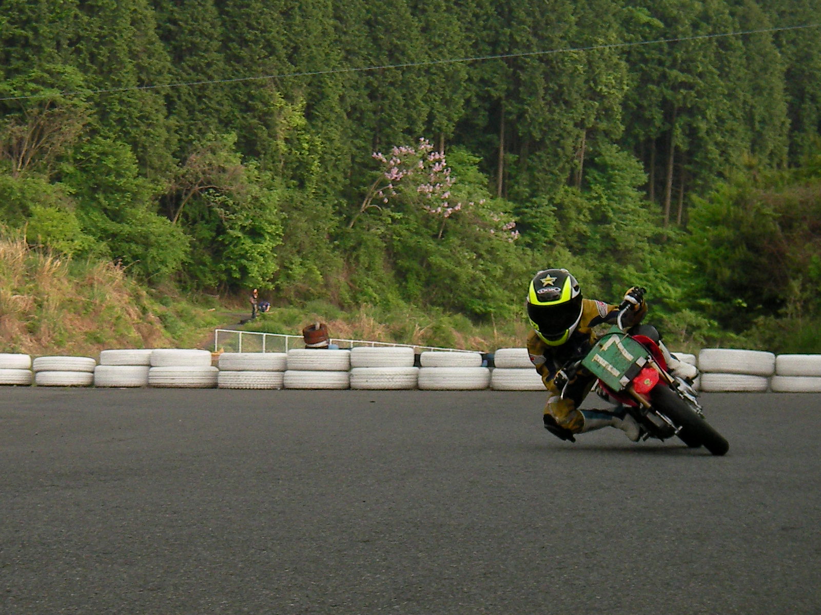 a0164504_1734858.jpg