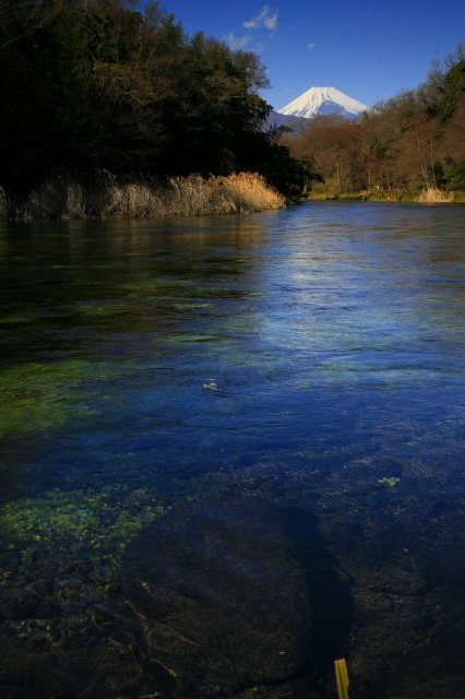 a0188405_22405511.jpg
