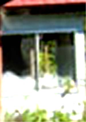 e0103408_18294875.jpg