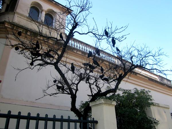 b0064411_16412965.jpg