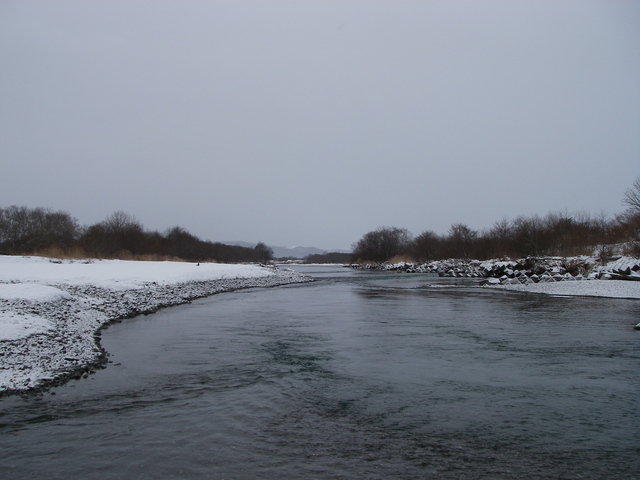 d0202215_731596.jpg