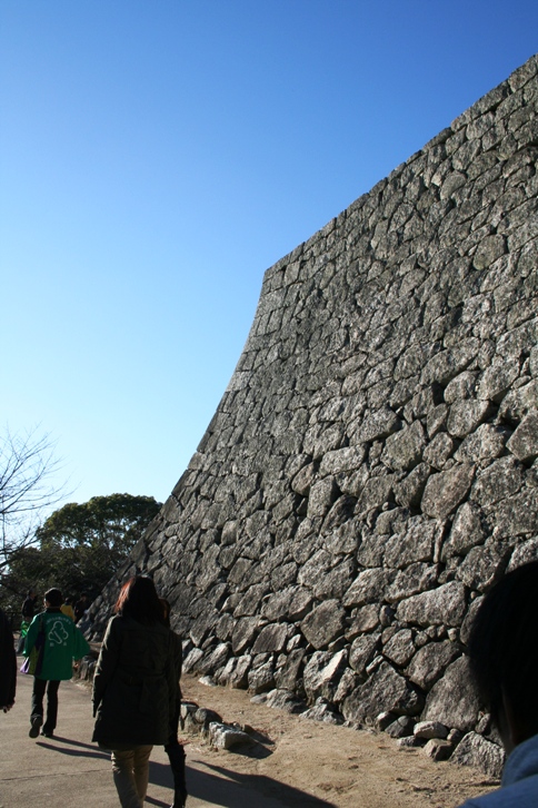 d0027320_1952431.jpg