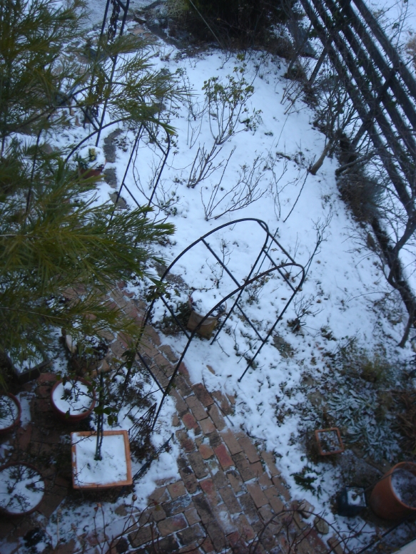 f0054421_7341682.jpg