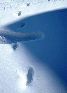 c0124322_175452100.jpg