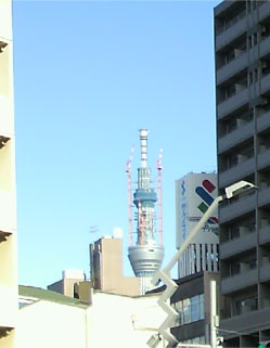 f0106823_2352789.jpg
