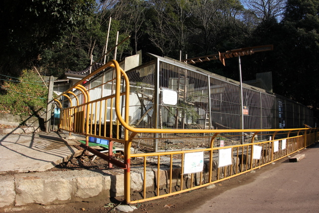 小熊猫ハウス : 2011冬休みレッサー遠征<b>池田動物園</b>編1