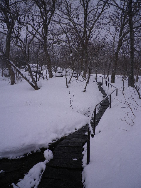 d0193224_20282968.jpg