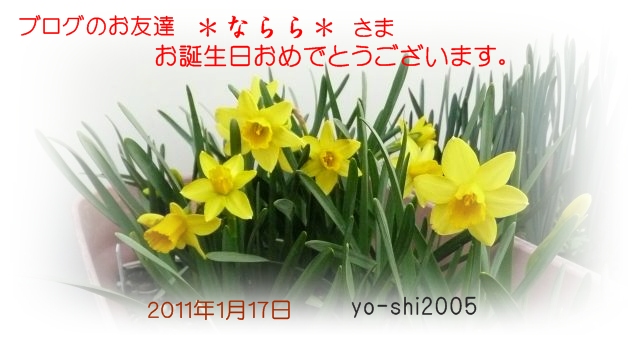 e0033229_844883.jpg