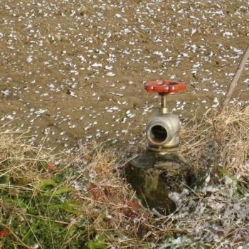 c0134734_123125.jpg