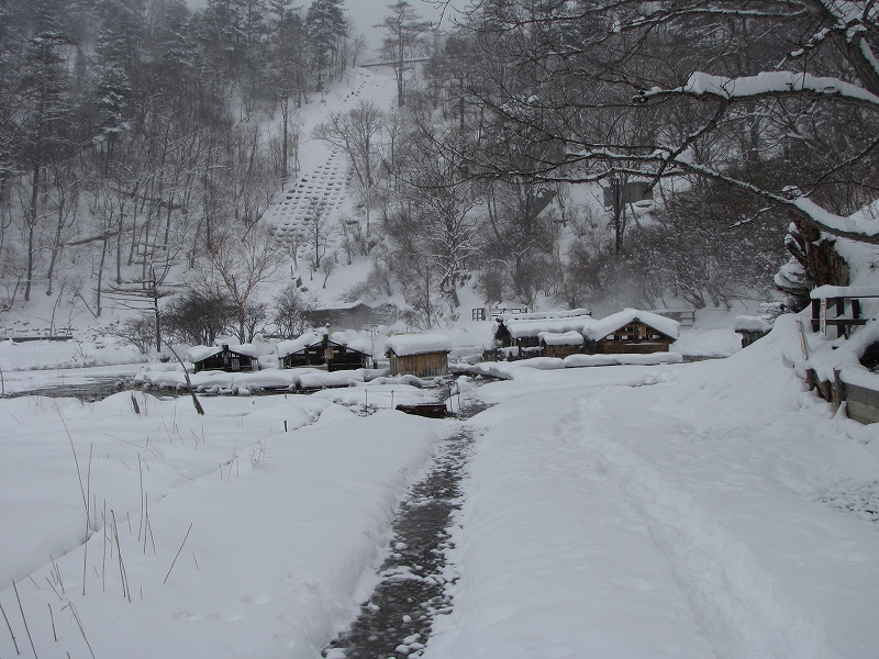b0097836_17474617.jpg