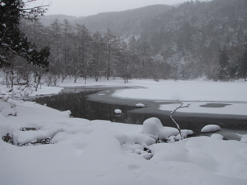 b0097836_17503375.jpg