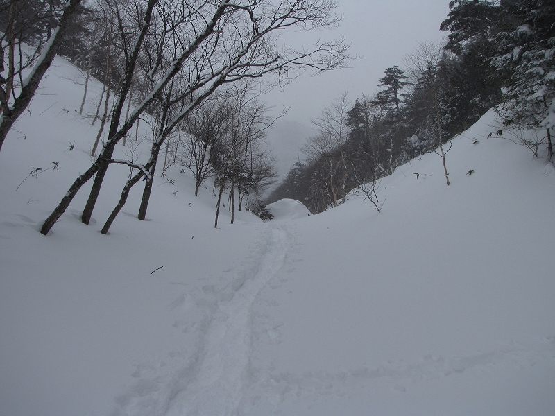 b0097836_1752497.jpg