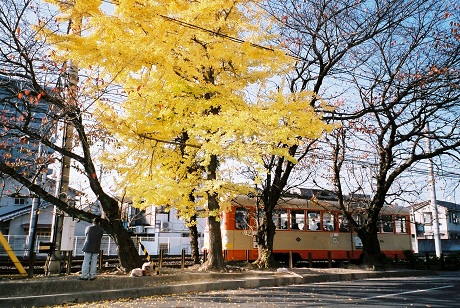 a0031338_1481216.jpg