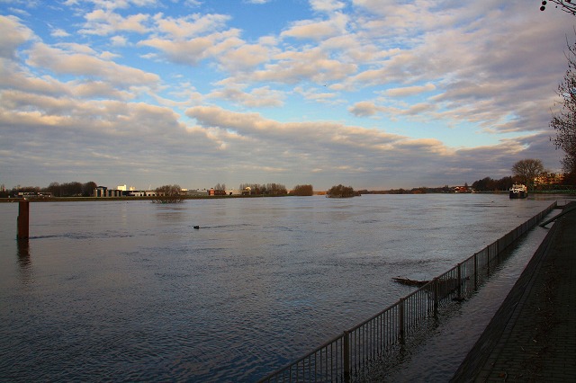 c0153740_1262269.jpg